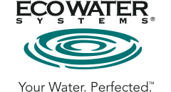 1988, NACIMIENTO DE ECOWATER SYSTEMS 1988, NACIMIENTO DE ECOWATER SYSTEMS